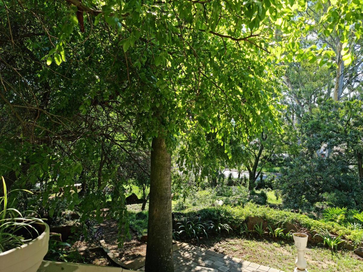 ليديسميث Peaches & Cream Bed & Breakfast المظهر الخارجي الصورة